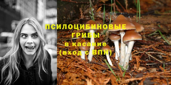 трава Майский