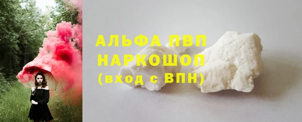 сатива Магас