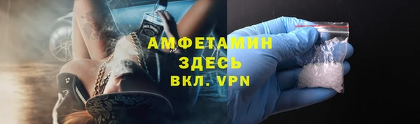 гашик Мегион