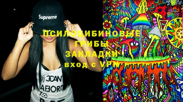 сатива Магас