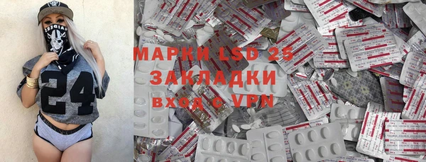 сатива Магас